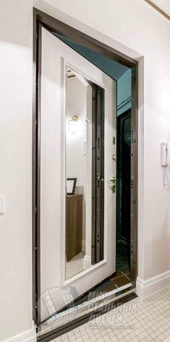 Kak Vybrat Vhodnuyu Dver S Zerkalom Vnutri Plyusy I Minusy Proizvoditeli