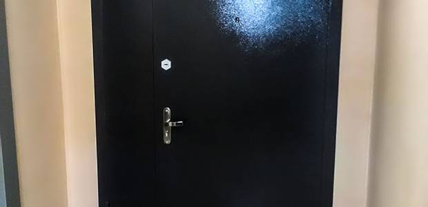 Порошковая дверь для тамбура
