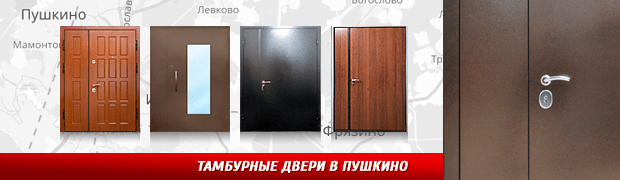 Тамбурные двери в Пушкино