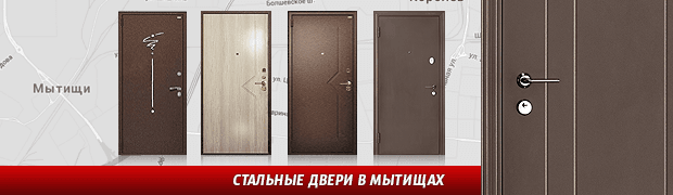 Входные металлические двери в Мытищах