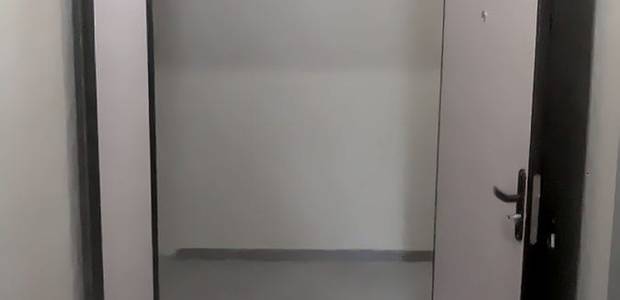 Тамбурная дверь с ламинатом