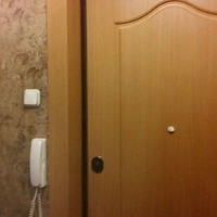 Дверь с МДФ в квартире