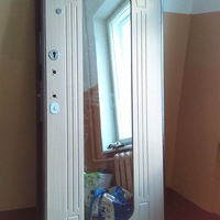 Дверное полотно