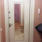 Трехконтурная дверь с зеркалом