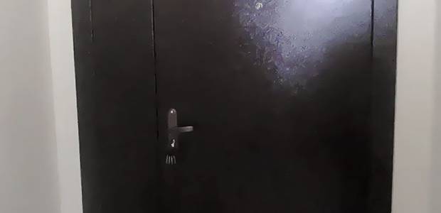 Порошковая дверь в тамбур