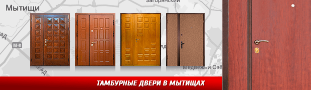 Тамбурные двери в Мытищах
