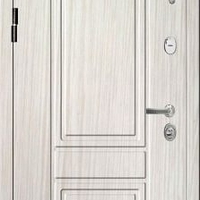 V09